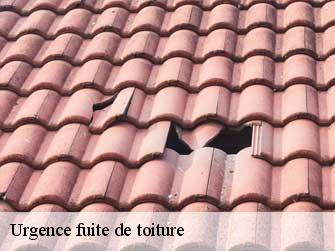 Urgence fuite de toiture