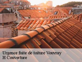 Urgence fuite de toiture  37210