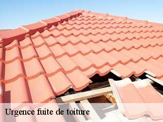 Urgence fuite de toiture 37210