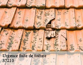 Urgence fuite de toiture 37210