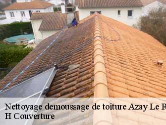 Nettoyage demoussage de toiture 37190