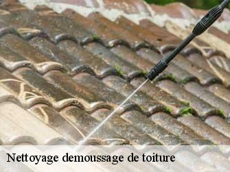 Nettoyage demoussage de toiture