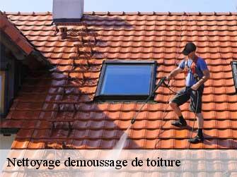 Nettoyage demoussage de toiture