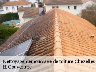 Nettoyage demoussage de toiture 37220