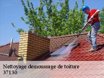 Nettoyage demoussage de toiture