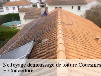 Nettoyage demoussage de toiture 37330