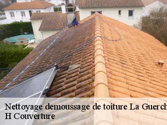Nettoyage demoussage de toiture 37350
