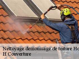 Nettoyage demoussage de toiture  hommes-37340 H Couverture