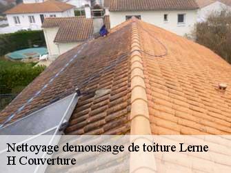 Nettoyage demoussage de toiture 37500