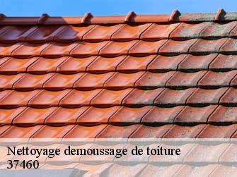 Nettoyage demoussage de toiture  37460