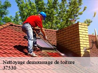 Nettoyage demoussage de toiture 37530