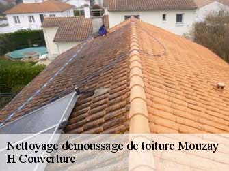 Nettoyage demoussage de toiture 37600
