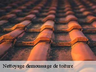 Nettoyage demoussage de toiture 37800