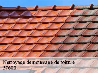 Nettoyage demoussage de toiture 37600