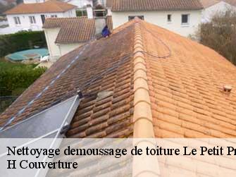 Nettoyage demoussage de toiture 37350