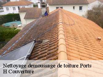 Nettoyage demoussage de toiture  37800