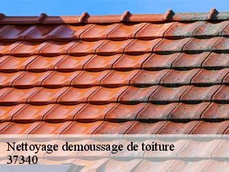 Nettoyage demoussage de toiture 37340