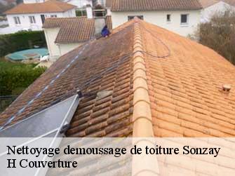 Nettoyage demoussage de toiture 37360