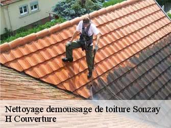 Nettoyage demoussage de toiture