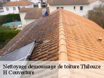 Nettoyage demoussage de toiture  37260