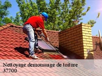 Nettoyage demoussage de toiture  37700