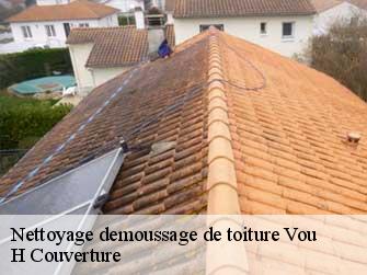 Nettoyage demoussage de toiture  37240