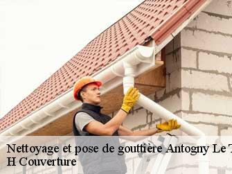 Nettoyage et pose de gouttière  37800