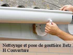 Nettoyage et pose de gouttière  betz-le-chateau-37600 H Couverture