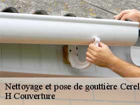 Nettoyage et pose de gouttière cerelles-37390 H Couverture