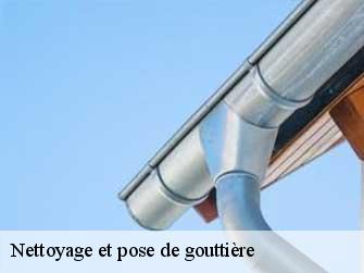 Nettoyage et pose de gouttière