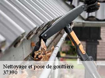 Nettoyage et pose de gouttière 37390