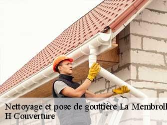 Nettoyage et pose de gouttière 37390