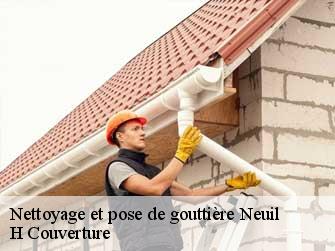Nettoyage et pose de gouttière 37190