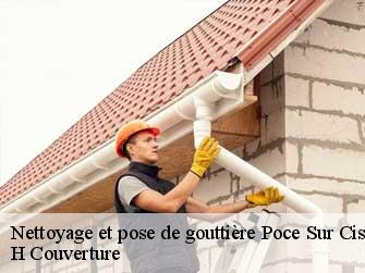 Nettoyage et pose de gouttière 37530