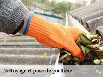 Nettoyage et pose de gouttière 37220