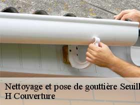 Nettoyage et pose de gouttière seuilly-37500 H Couverture