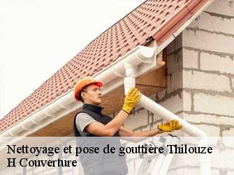 Nettoyage et pose de gouttière 37260
